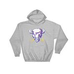 Arkansas Baptist Hoodie Sweatshirt